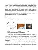 Referāts 'Fibonači skaitļi', 28.