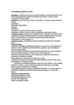 Konspekts 'Kriminālprocess', 59.