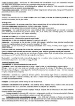 Konspekts 'Kontroldarba jautājumi starpautiskās publiskās tiesībās', 23.