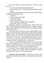 Referāts 'Nauda', 21.