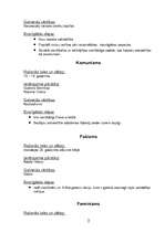 Konspekts 'Politiskās idioloģijas', 3.