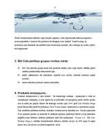 Referāts 'Uzņēmuma produkta markas veidošana, lietošana un efektivitāte', 6.