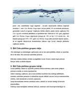 Referāts 'Uzņēmuma produkta markas veidošana, lietošana un efektivitāte', 7.