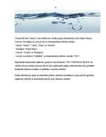 Referāts 'Uzņēmuma produkta markas veidošana, lietošana un efektivitāte', 10.