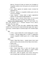 Referāts 'Atskaite par AS "Latvijas balzams"', 5.