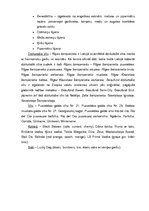 Referāts 'Atskaite par AS "Latvijas balzams"', 6.