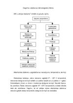 Referāts 'Atskaite par AS "Latvijas balzams"', 7.