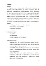 Prakses atskaite 'Aprūpes plāns', 2.