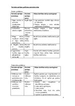 Prakses atskaite 'Aprūpes plāns', 4.