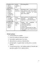 Prakses atskaite 'Aprūpes plāns', 5.