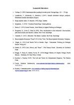 Referāts 'Intertekstualitāte J.Rokpeļņa romānā "Virtuālais Fausts" un J.V.Gētes traģēdijā ', 31.