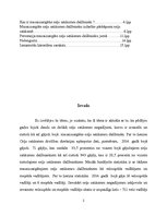 Referāts 'Mazaizsargāto ceļu satiksmes dalībnieku izdarītie pārkāpumi, to prevencija', 2.