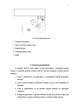 Referāts 'Biroja projekts', 7.