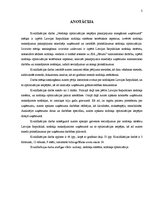 Diplomdarbs 'Nodokļu optimizācijas iespējas pakalpojuma sniedzēja uzņēmumā', 3.