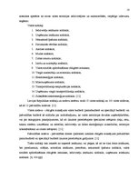 Diplomdarbs 'Nodokļu optimizācijas iespējas pakalpojuma sniedzēja uzņēmumā', 10.