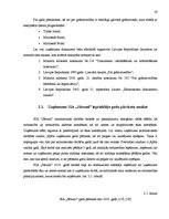 Diplomdarbs 'Nodokļu optimizācijas iespējas pakalpojuma sniedzēja uzņēmumā', 19.