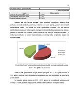 Diplomdarbs 'Nodokļu optimizācijas iespējas pakalpojuma sniedzēja uzņēmumā', 33.