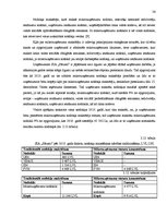 Diplomdarbs 'Nodokļu optimizācijas iespējas pakalpojuma sniedzēja uzņēmumā', 36.