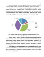 Diplomdarbs 'Nodokļu optimizācijas iespējas pakalpojuma sniedzēja uzņēmumā', 40.