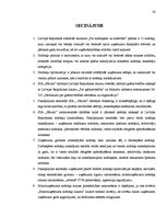 Diplomdarbs 'Nodokļu optimizācijas iespējas pakalpojuma sniedzēja uzņēmumā', 42.