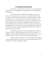 Referāts 'Patērētāju apmierinātība un vērtība', 13.