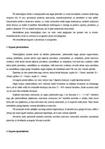 Referāts 'Grants un šķembu seguma uzturēšana', 2.