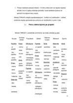 Prakses atskaite 'Prakses atskaite reklāmas pakalpojumu komercdarbībā', 17.