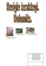 Referāts 'Dolomīts', 1.