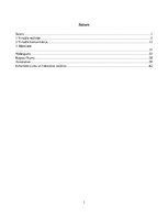 Diplomdarbs 'Personiskās identitātes slēpšanas paņēmieni virtuālajā telpā', 1.