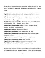 Diplomdarbs 'Personiskās identitātes slēpšanas paņēmieni virtuālajā telpā', 51.