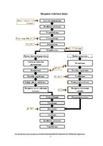 Referāts 'Biezpiena ražošanas līnijas analīze un modeļa izstrāde', 2.