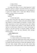 Referāts 'Spēļu elementu izmantošana sākumskolā ', 16.
