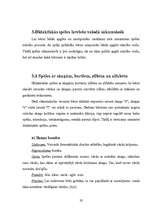 Referāts 'Spēļu elementu izmantošana sākumskolā ', 18.