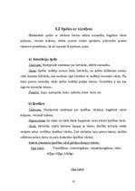 Referāts 'Spēļu elementu izmantošana sākumskolā ', 23.