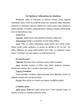 Referāts 'Spēļu elementu izmantošana sākumskolā ', 26.