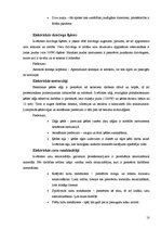 Referāts 'Dārza tehnika', 10.