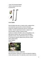 Referāts 'Dārza tehnika', 12.