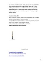 Referāts 'Dārza tehnika', 13.