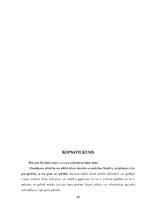 Referāts 'Atsavinātāja atbildība pirkuma līgumā par preces kvalitāti, daudzumu un atbilstī', 25.