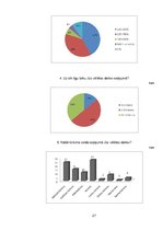Referāts 'Tūrisma aģentūras "Al Mile" pakalpojumu piedāvājums un pieprasījums', 27.