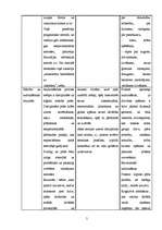 Referāts 'Izglītības filozofija', 5.