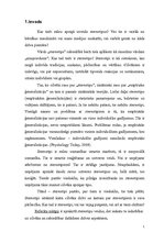 Referāts 'Stereotipi un stereotipizācija', 2.