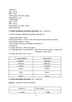 Referāts 'Bērna runas/ valodas izpēte pirmsskolas vecumā', 2.