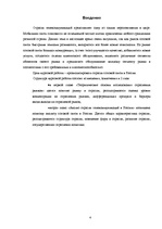 Referāts 'Анализ отраслевого рынка сотовой связи', 4.