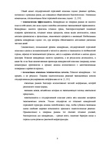 Referāts 'Анализ отраслевого рынка сотовой связи', 9.