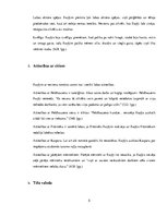 Referāts 'Romāna "Mērnieku laiki" tēls Raņķis', 5.