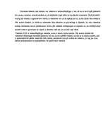 Referāts 'Viesnīcas "XXX" mārketinga analīze un plānošana', 33.