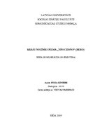 Eseja 'Krāsu nozīmes filmā "Ying Xiong"', 1.