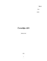 Referāts 'Čornobiļas jeb Černobiļas atomelektrostacija', 1.