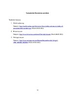 Referāts 'Čornobiļas jeb Černobiļas atomelektrostacija', 12.